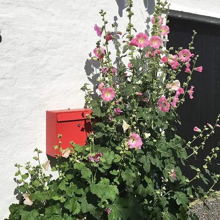 Quaint Holiday In Bornholm With Terrace